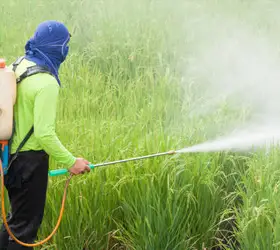 mages/agricultural-pesticide.webp